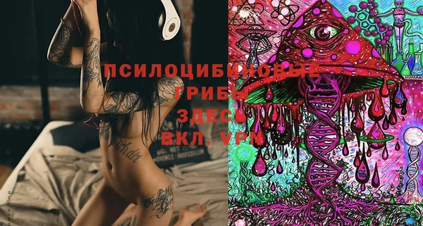 спиды Аркадак